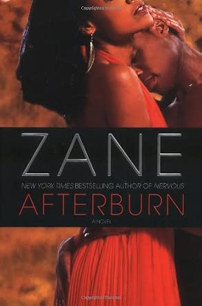 Afterburn: A Novel (Used)