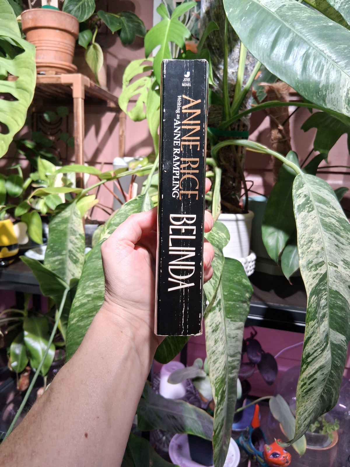 Belinda (used)
