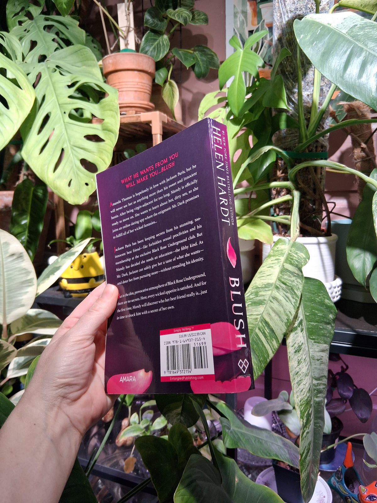 Blush (Black Rose, 1) (used) First Edition